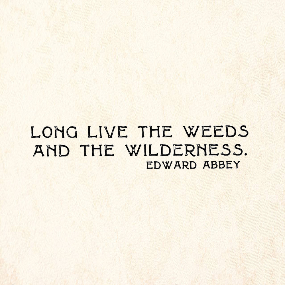 StampaFe Long Live The Weeds And The Wilderness by Edward Abbey Rubber Art Stamp