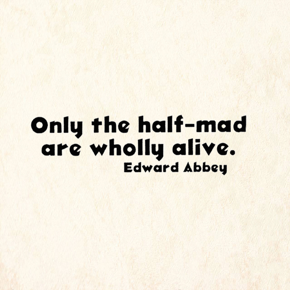 StampaFe Only The Half-Mad Are Wholly Alive Rubber Art Stamp