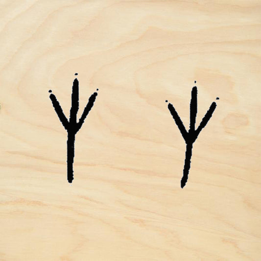 Bird Tracks