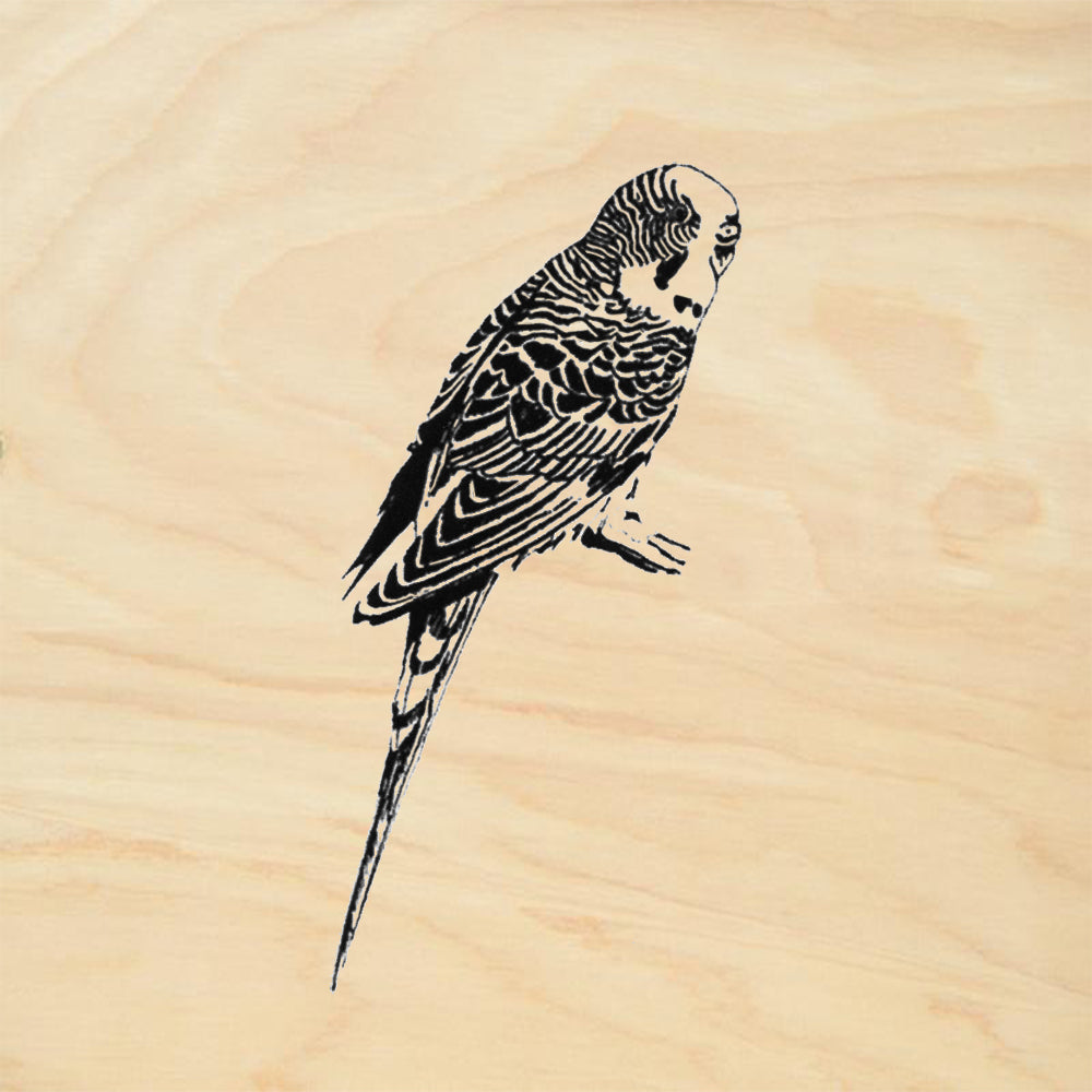 StampaFe Parakeet Bird Rubber Art Stamp
