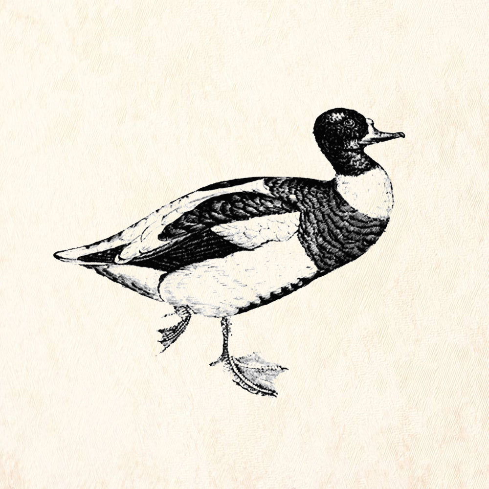 StampaFe Duck Rubber Art Stamp