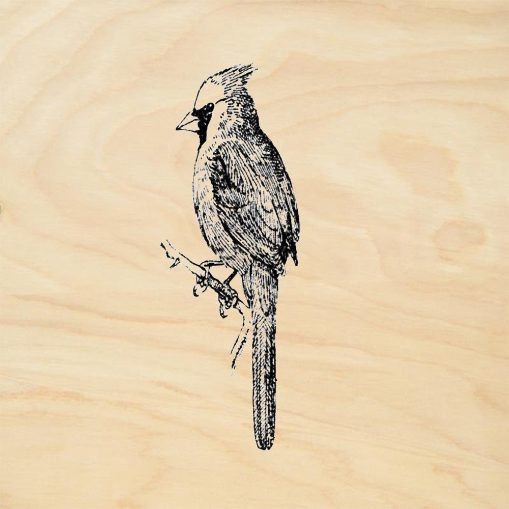 StampaFe Cardinal Bird Nature Rubber Art Stamp
