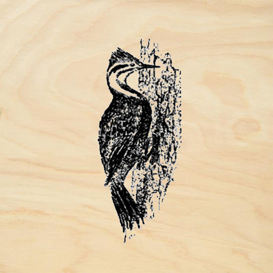 Woodpecker