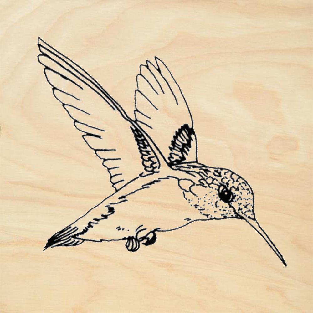 Hummingbird