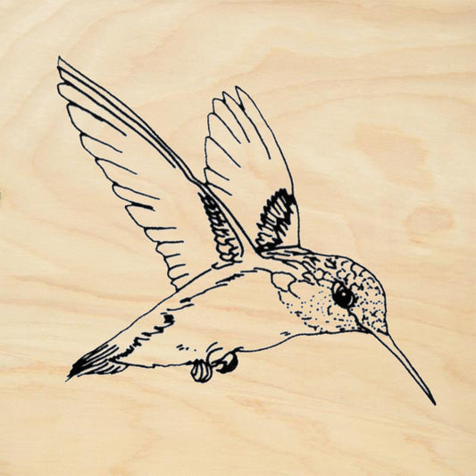 Hummingbird