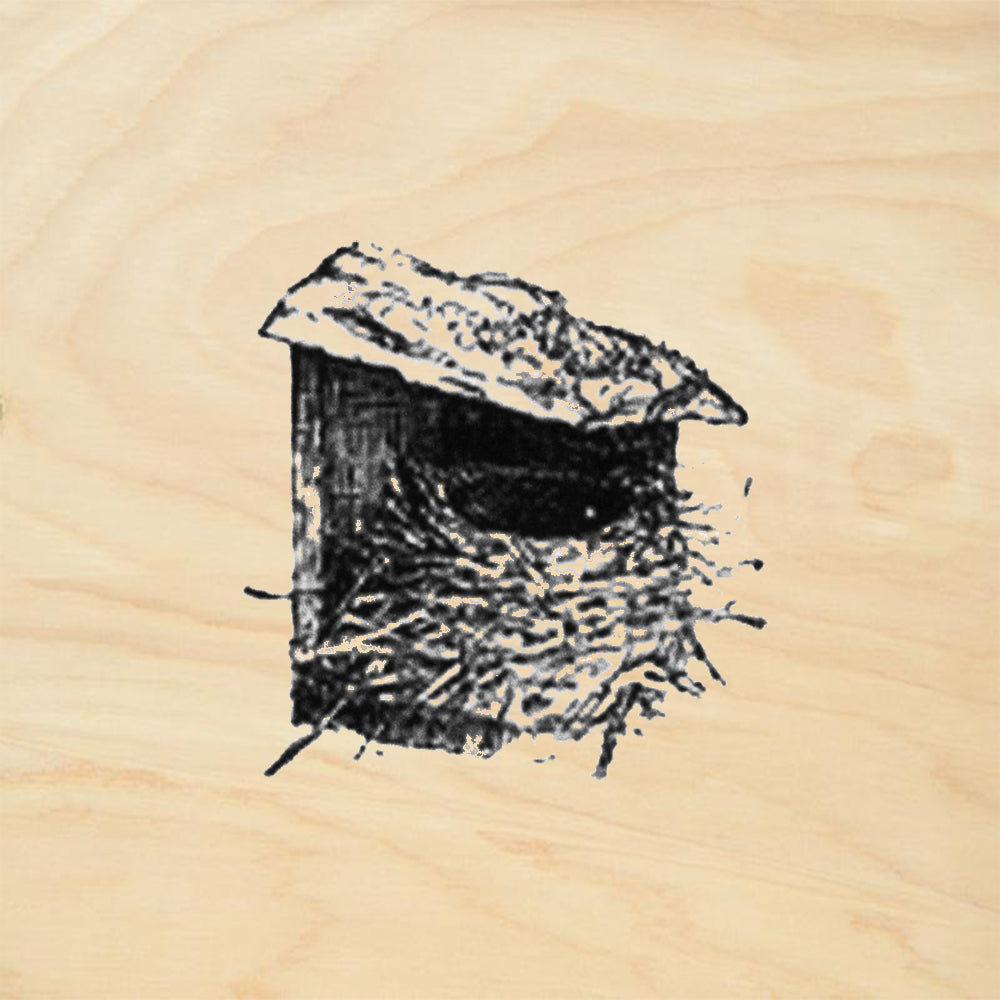 Nest #3