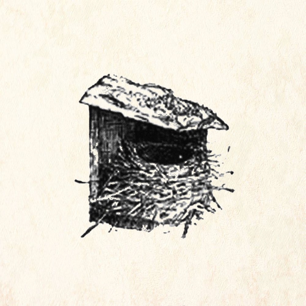 StampaFe Nest #3 Bird Nest Rubber Art Stamp