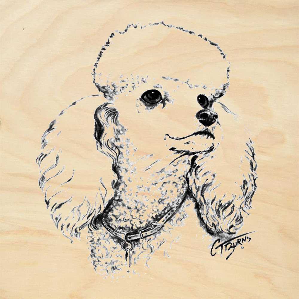 Poodle