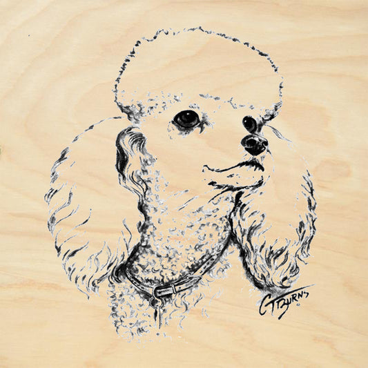 Poodle