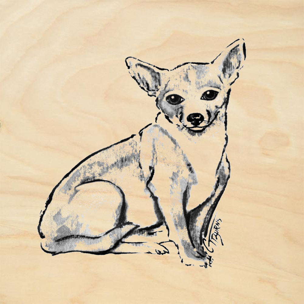 Corgi