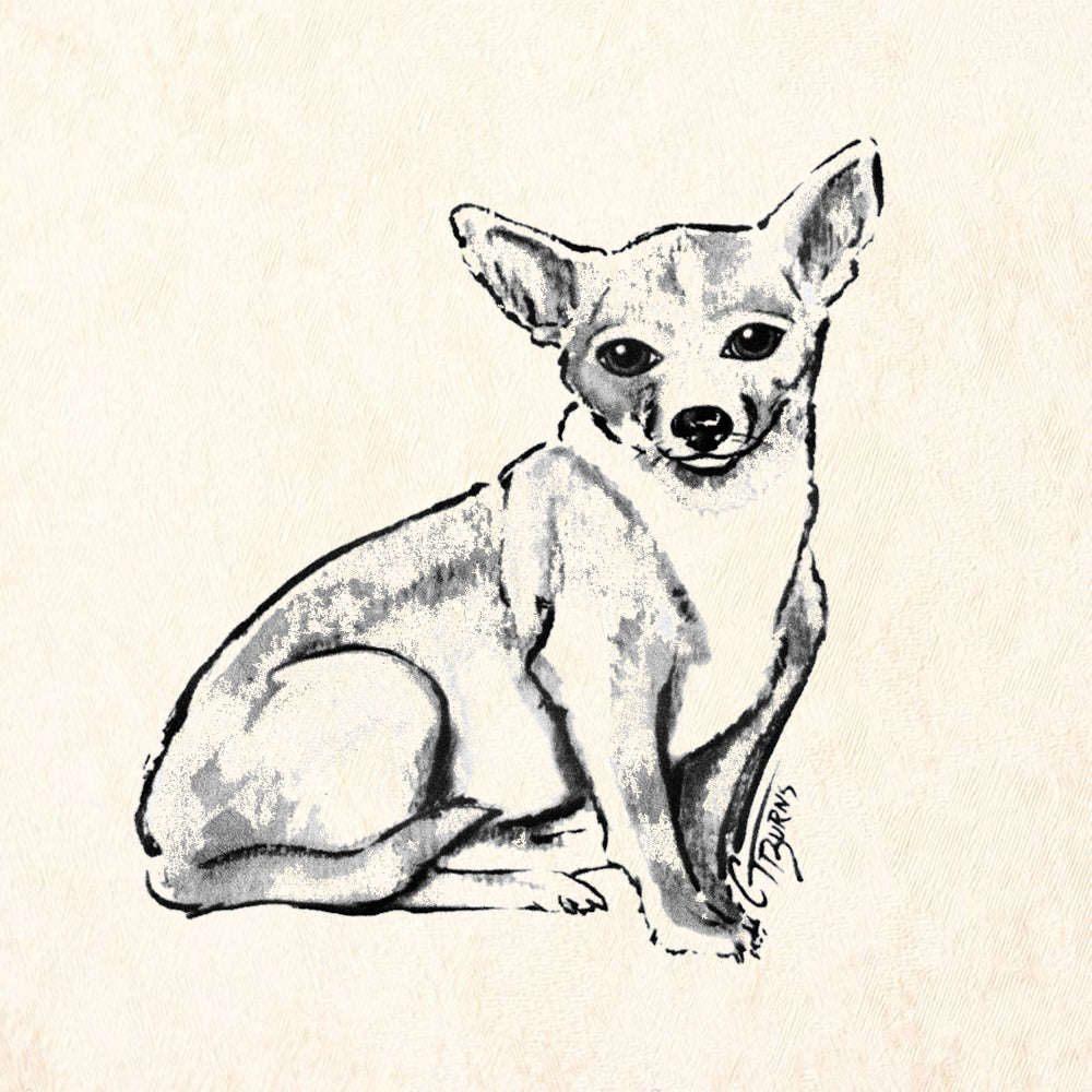 Corgi