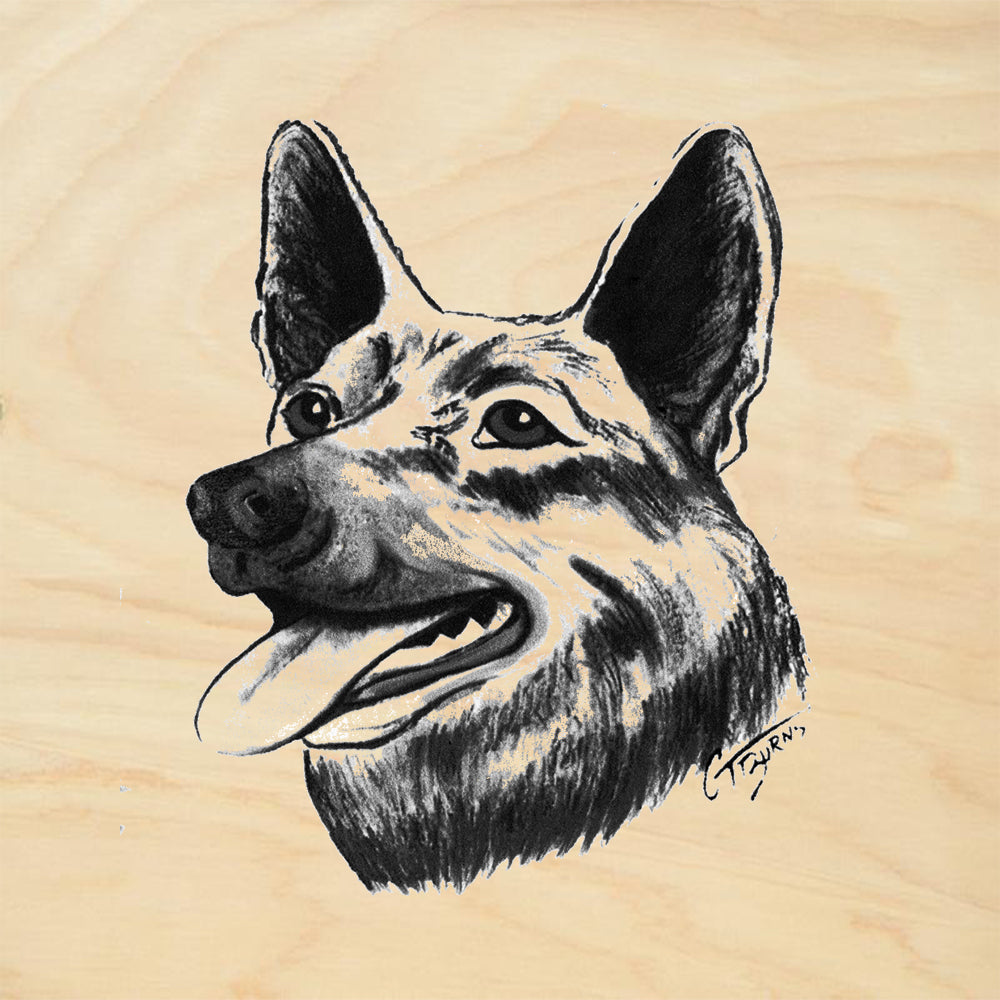 German Shepard
