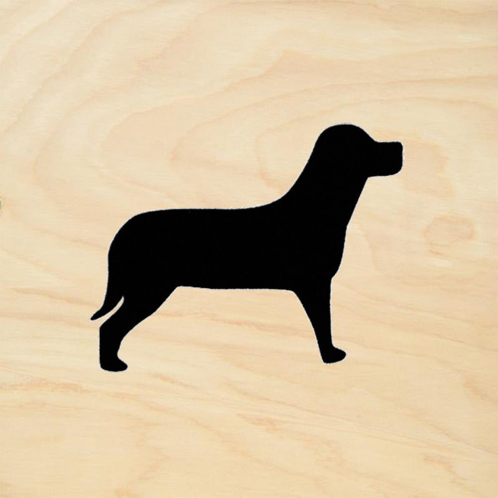 Lab Silhouette