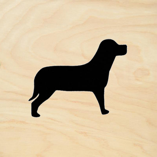 Lab Silhouette
