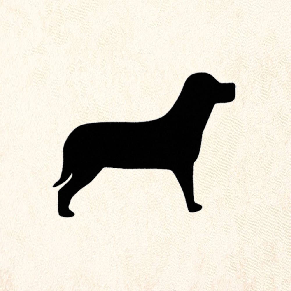Lab Silhouette
