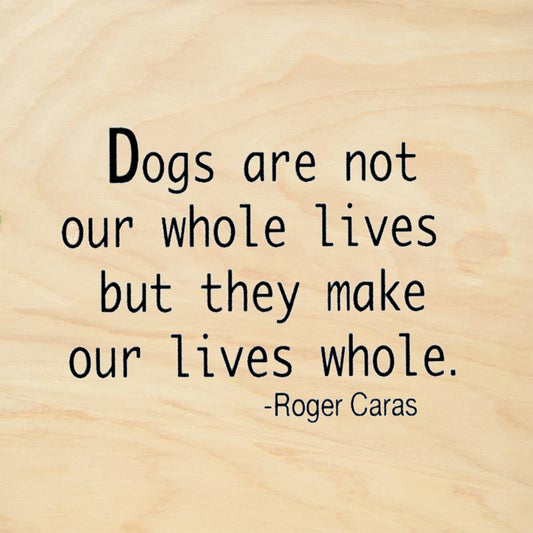 Dogs Are Not