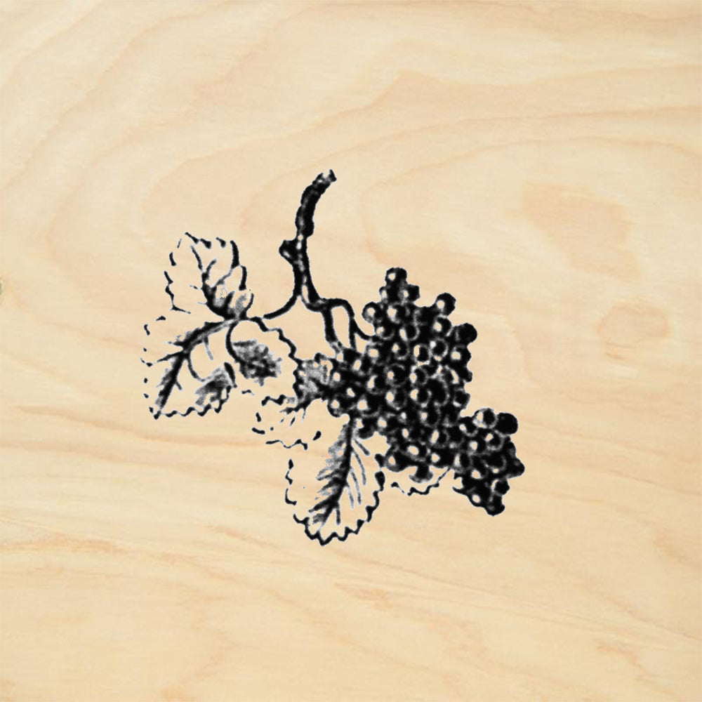 Berry Branch