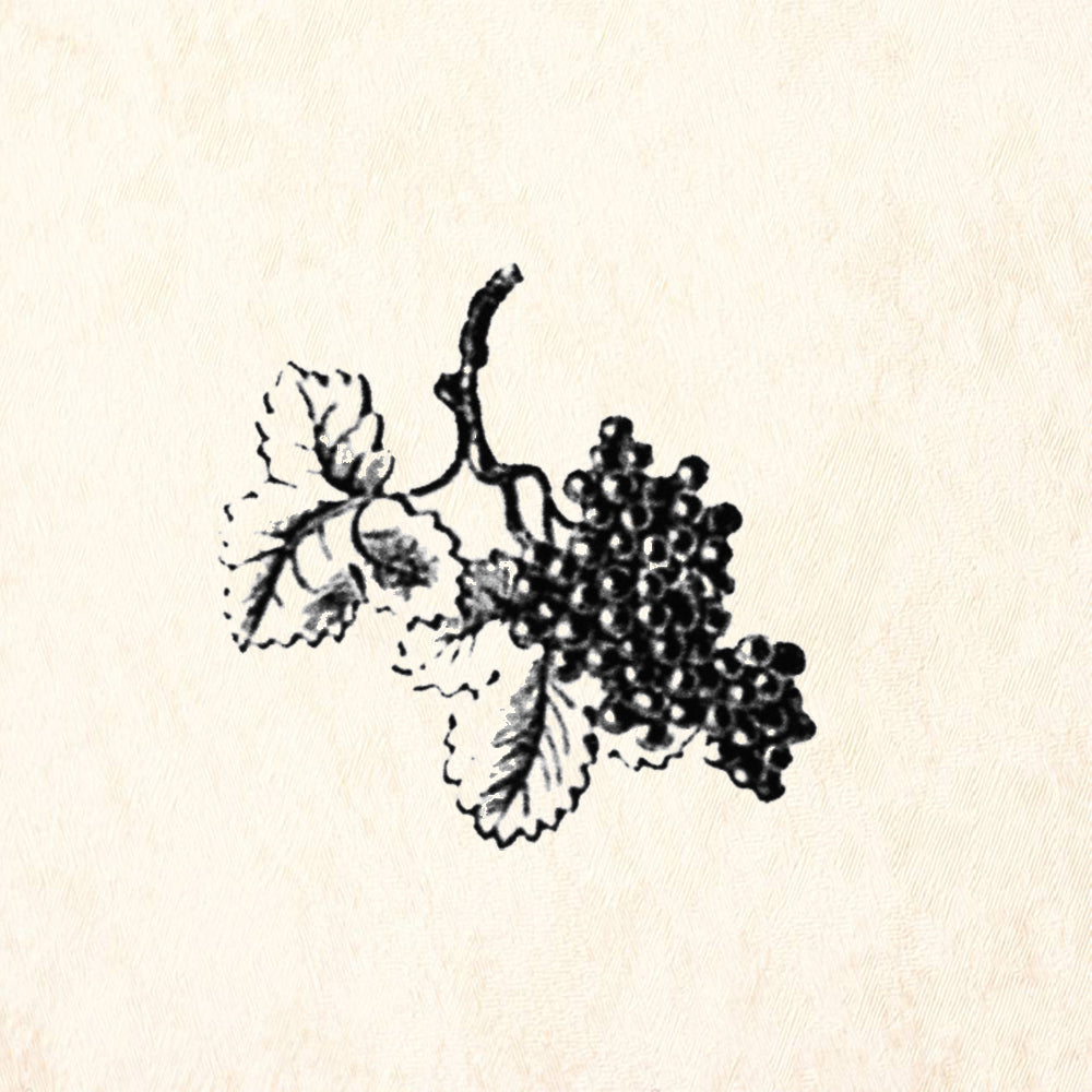 StampaFe Berry Branch Botanical Rubber Art Stamp