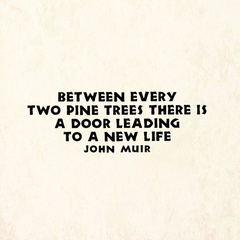 StampaFe Between Every Two Pine Trees Quote by John Muir Rubber Art Stamp