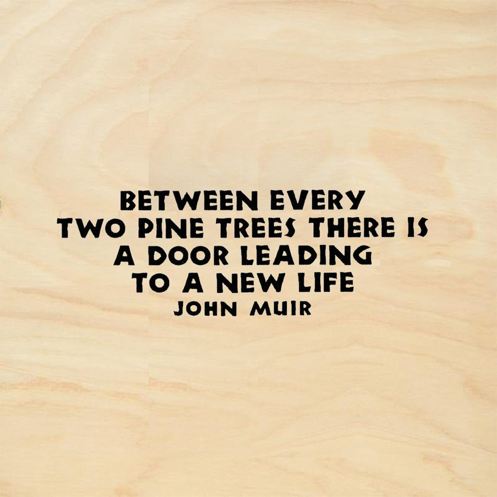 StampaFe Between Every Two Pine Trees Quote by John Muir Rubber Art Stamp