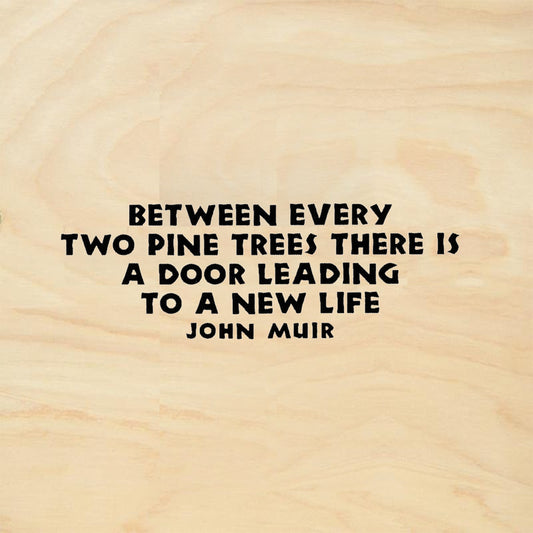 StampaFe Between Every Two Pine Trees Quote by John Muir Rubber Art Stamp