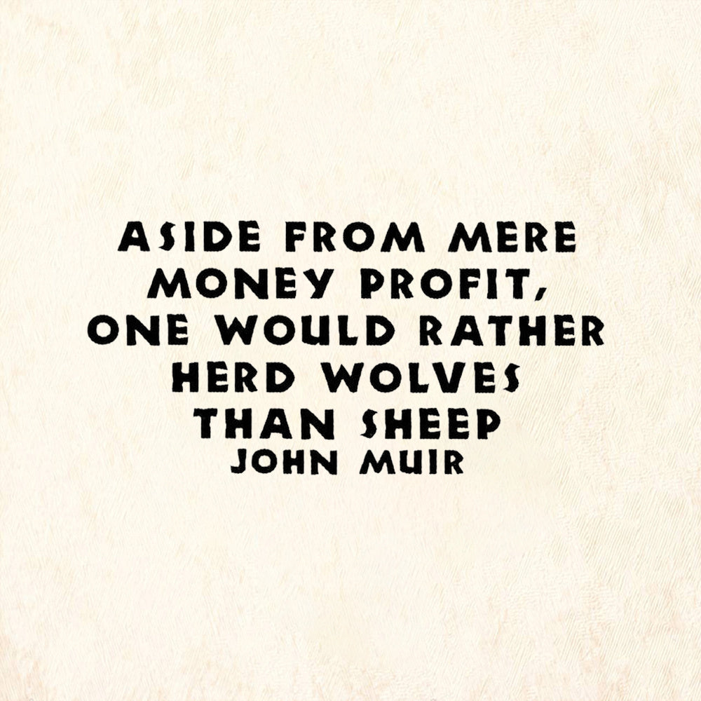 StampaFe Aside From Mere Money Profit Quoted by John Muir  Rubber Art Stamp