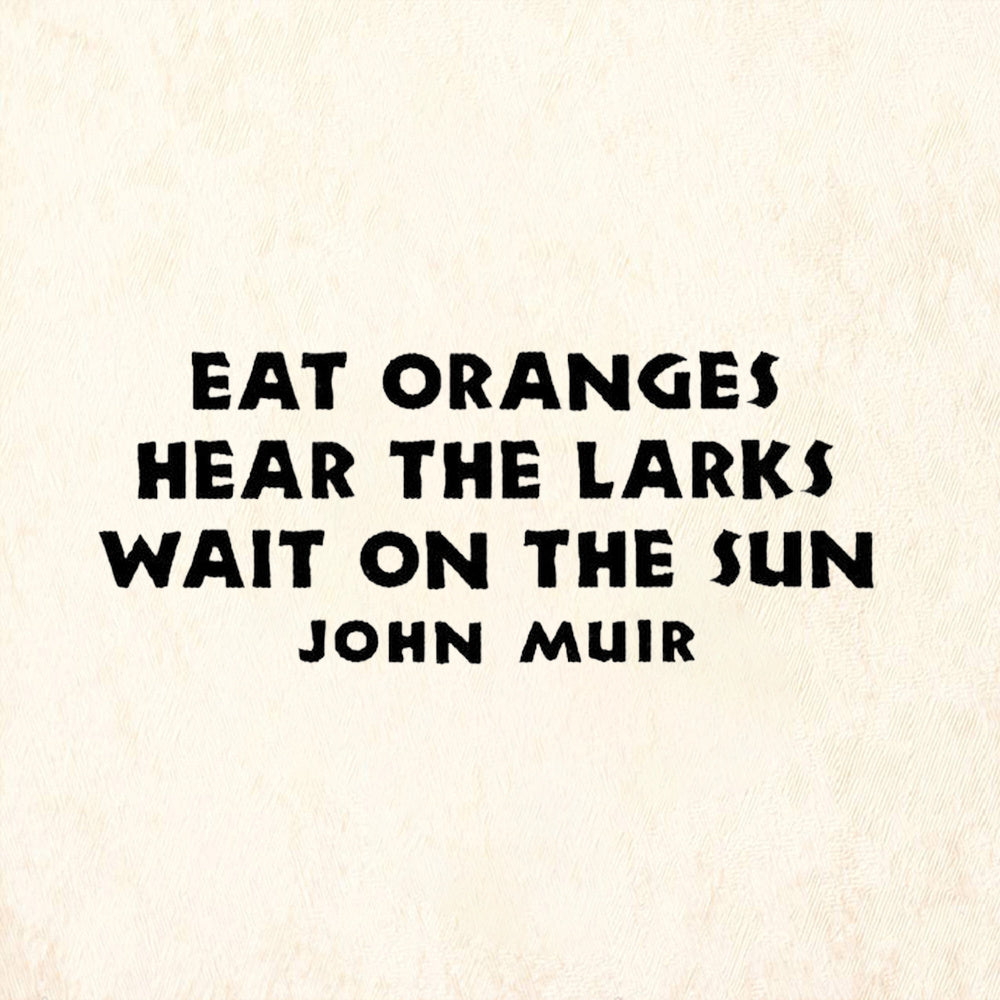 StampaFe Eat Oranges Hear The Larks Quote by John Muir Rubber Art Stamp