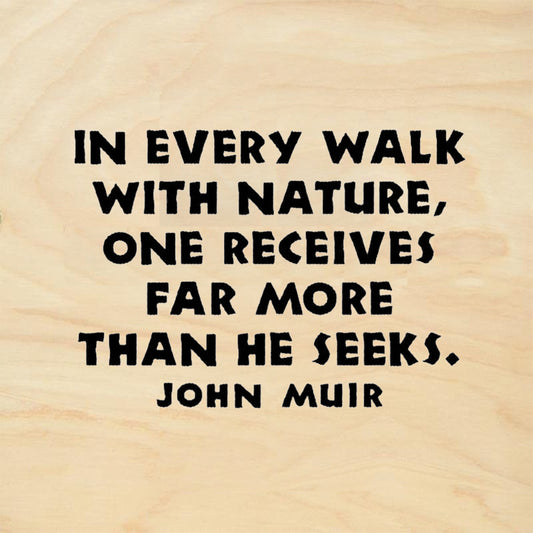 StampaFe In Every Walk With Nature Quote by John Muir Rubber Art Stamp
