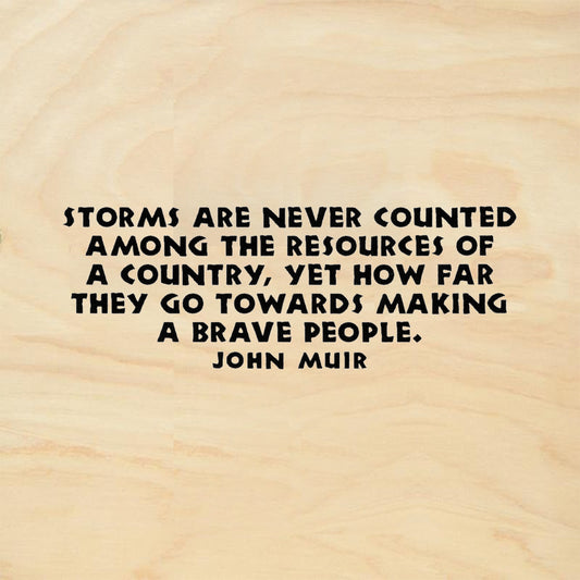 StampaFe Storms Are Never Counted Quote by John Muir Rubber Art Stamp