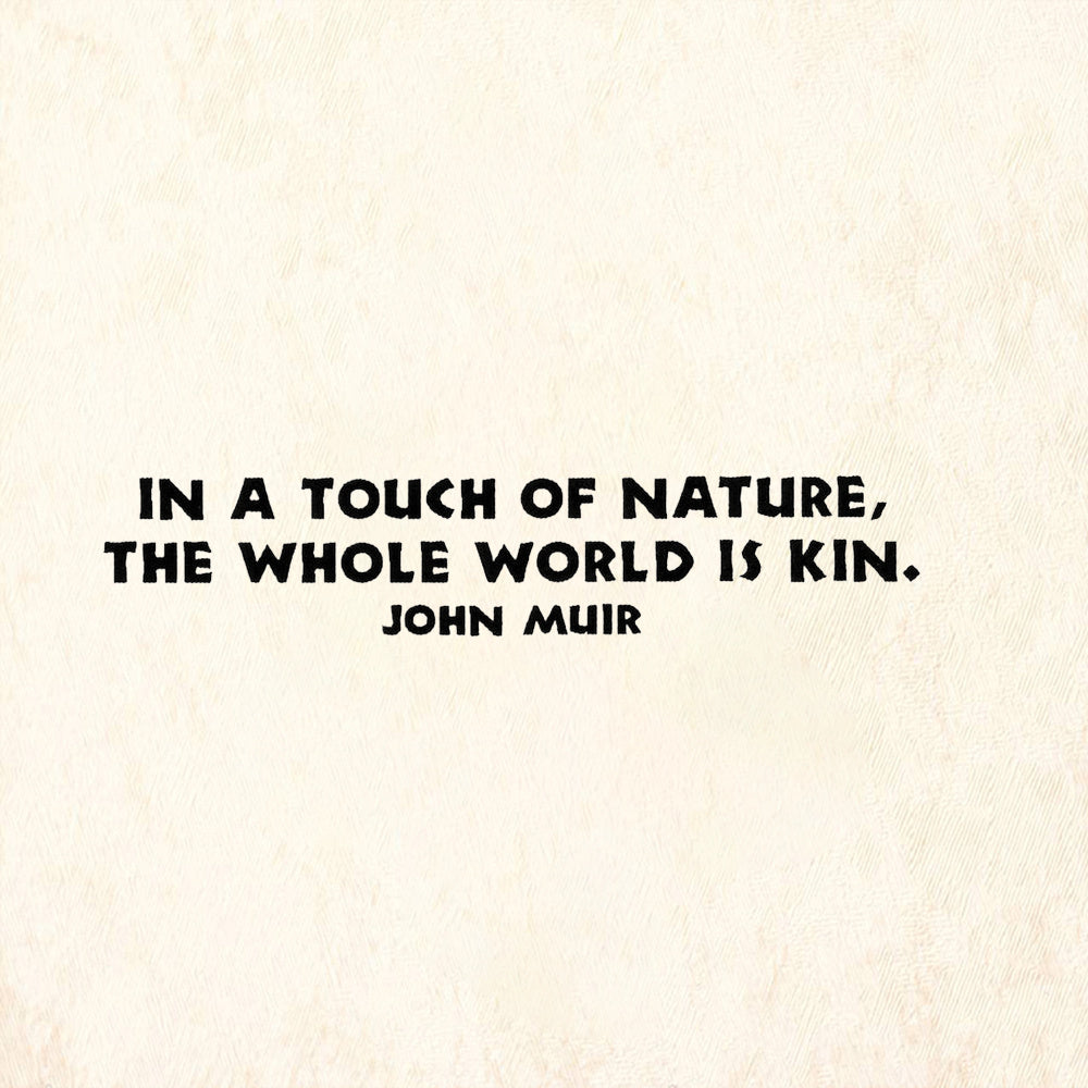 StampaFe The Whole World is Kin Quote by John Muir Rubber Art Stamp