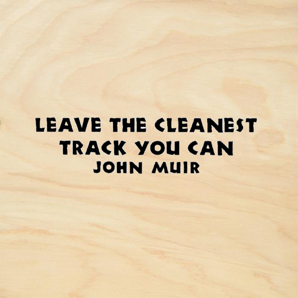StampaFe Cleanest Track John Muir Quote Rubber Art Stamp