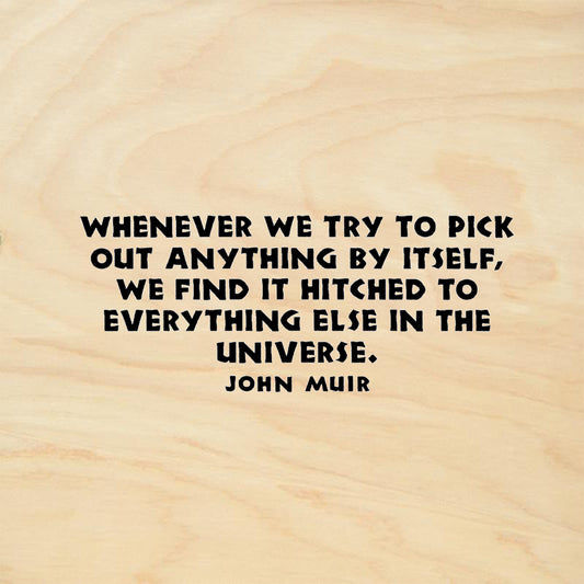StampaFe Anything is Hitched to Everything Else Quote by John Muir Rubber Art Stamp