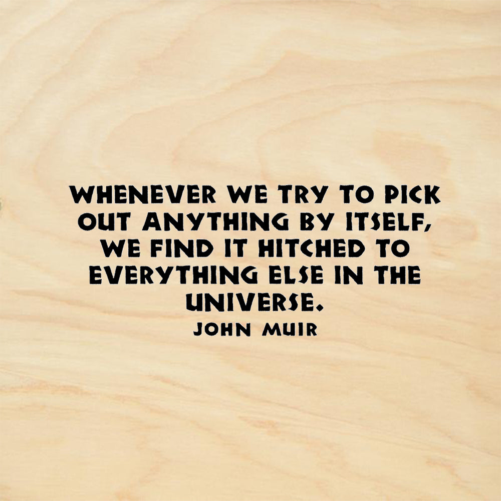 StampaFe Everything Else John Muir Quote Rubber Art Stamp