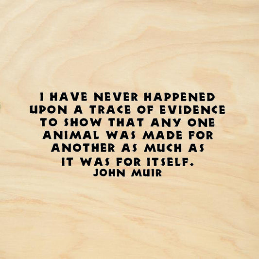 StampaFe Animal Trace John Muir Quote Rubber Art Stamp
