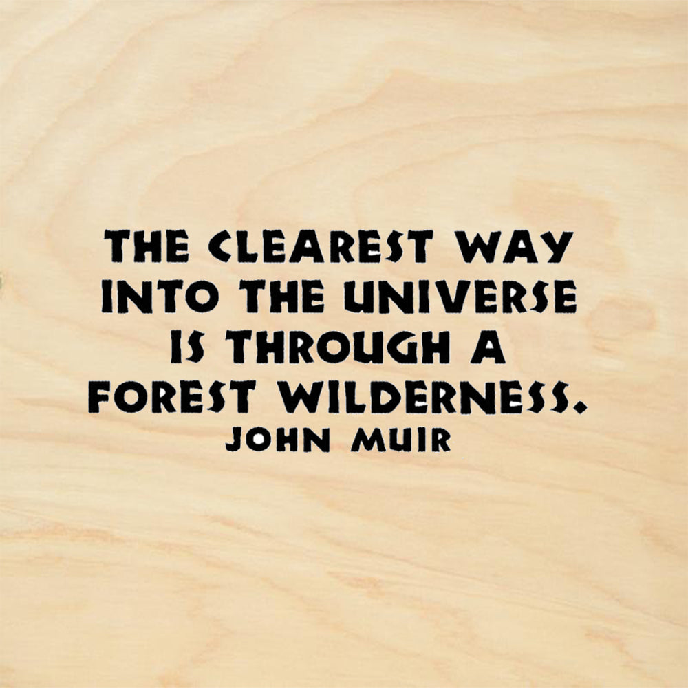 StampaFe Clearest Way John Muir Quote Rubber Art Stamp