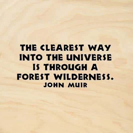 StampaFe Clearest Way John Muir Quote Rubber Art Stamp