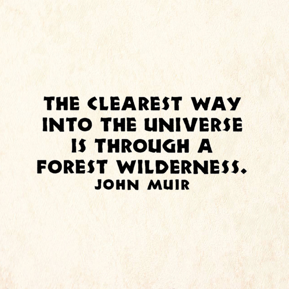 StampaFe Universe Through Wilderness Quote by John Muir Rubber Art Stamp
