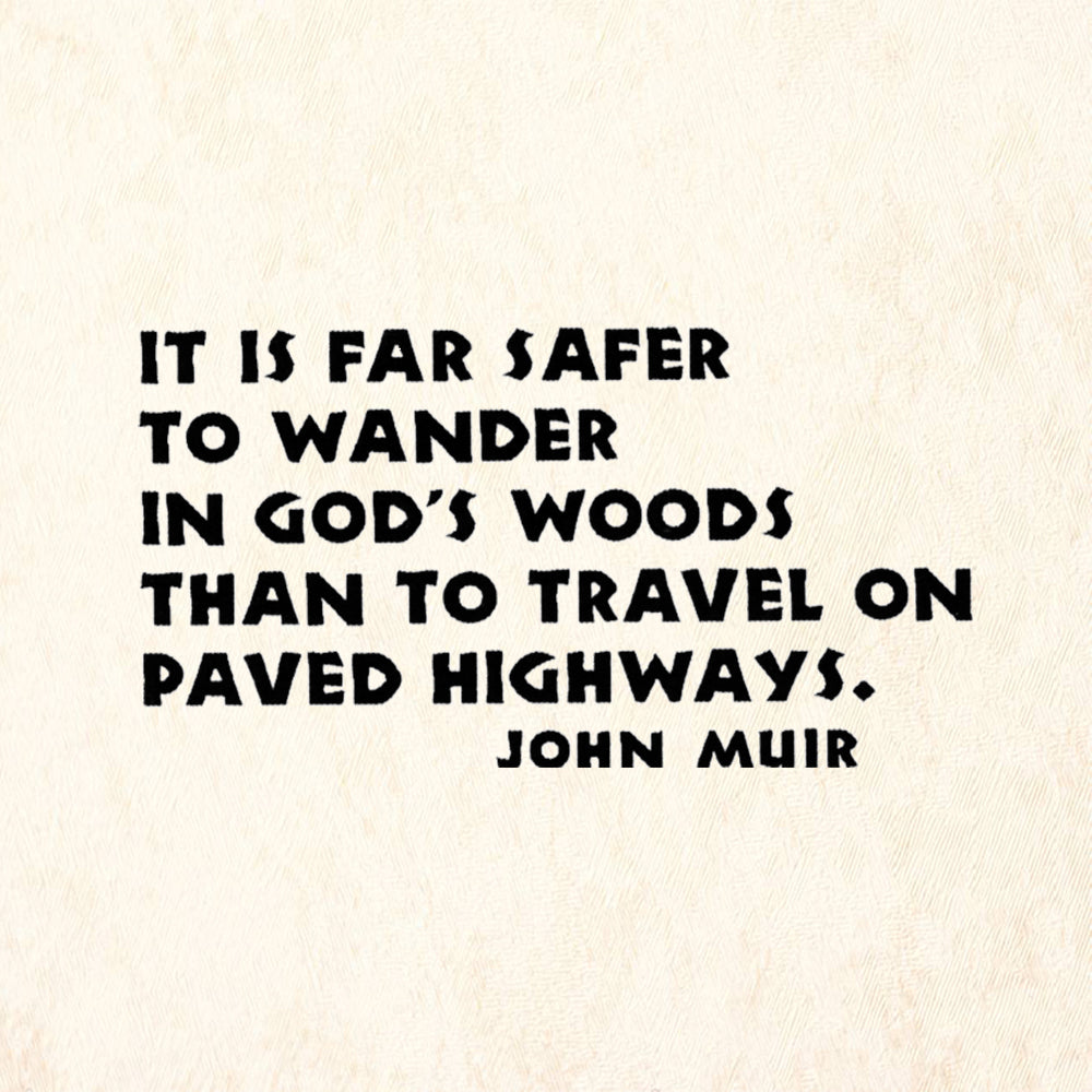 StampaFe God's Woods than Paved Highway Quote by John Muir Rubber Art Stamp