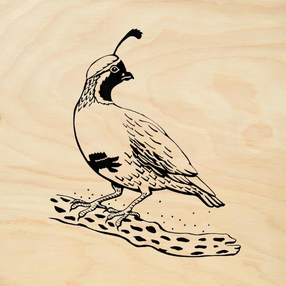 StampaFe Quail Southwestern Rubber Art Stamp