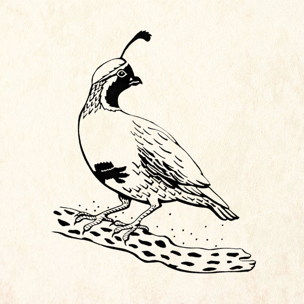 StampaFe Quail Southwestern Rubber Art Stamp