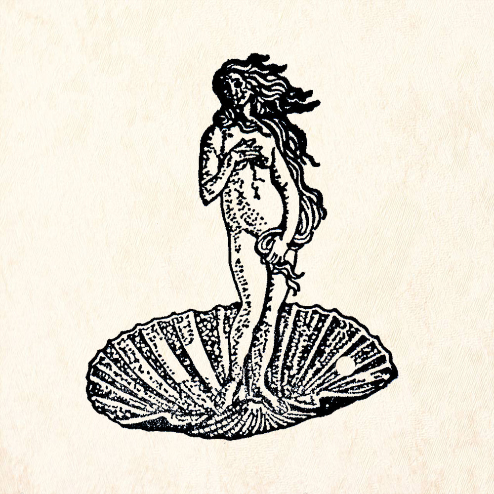 StampaFe Boticelli's Venus Goddess Rubber Art Stamp