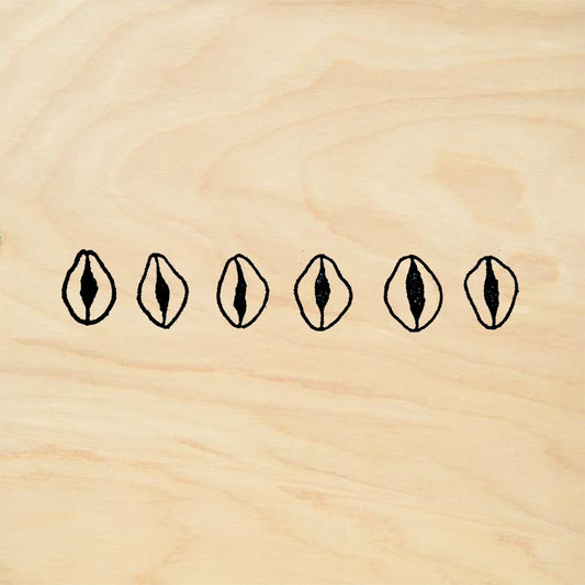 StampaFe Cowrie Shell Border Goddess Rubber Art Stamp