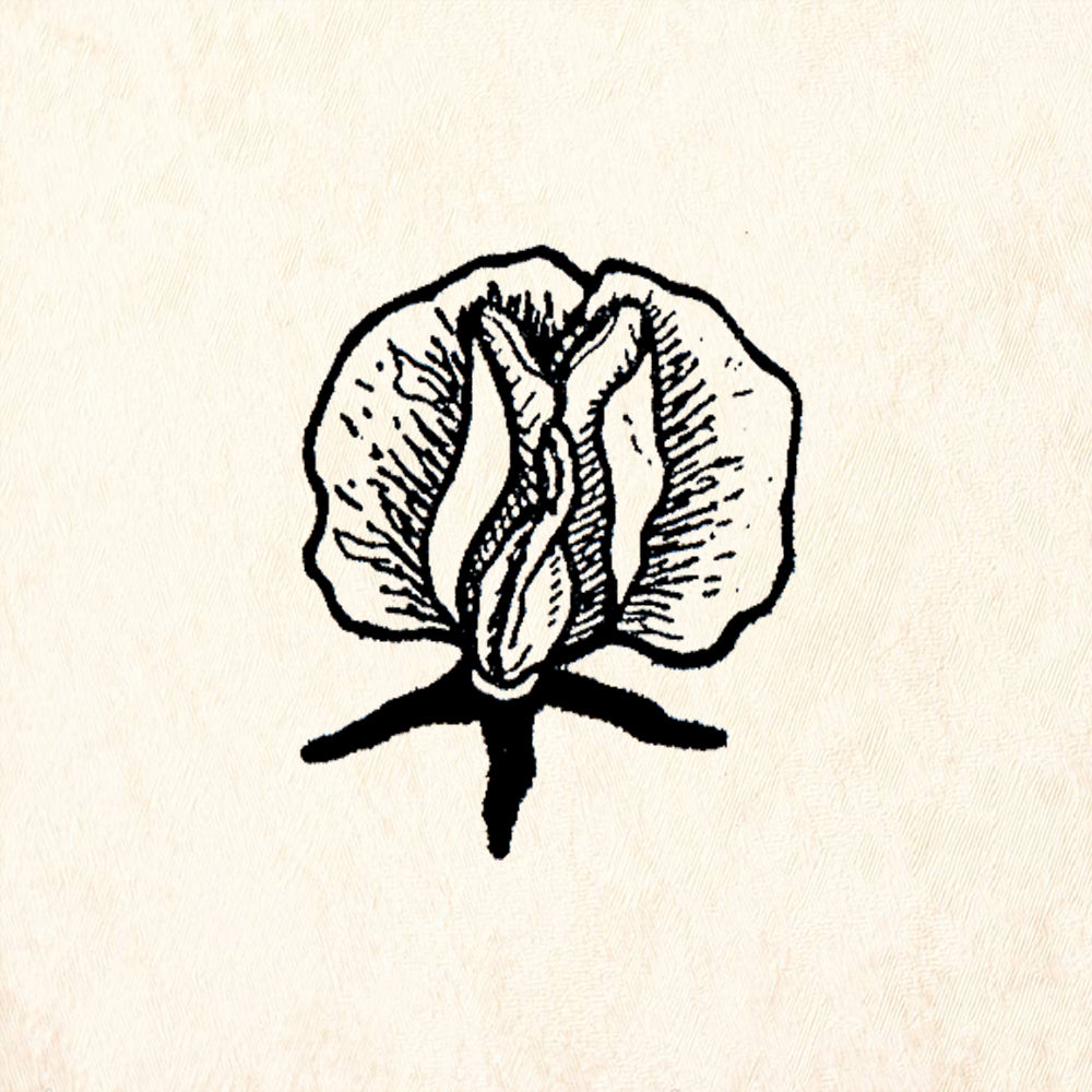StampaFe Sweet Pea Floral Rubber Art Stamp