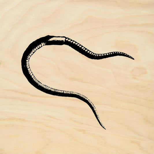 StampaFe Earthworm Nature Rubber Art Stamp