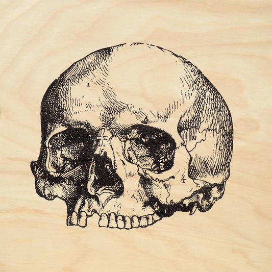 StampaFe Cranium Gothic Rubber Art Stamp