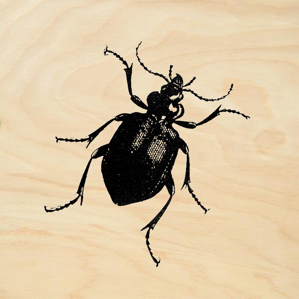 StampaFe Beetle Nature Rubber Art Stamp