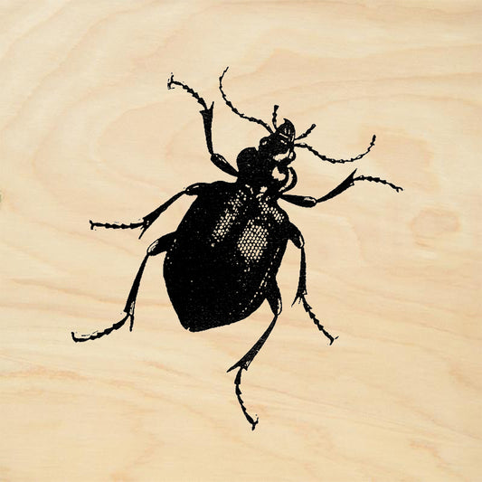 StampaFe Beetle Nature Rubber Art Stamp