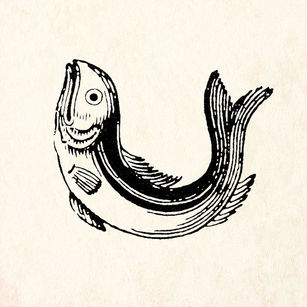 StampaFe Curved Fish Nature Rubber Art Stamp