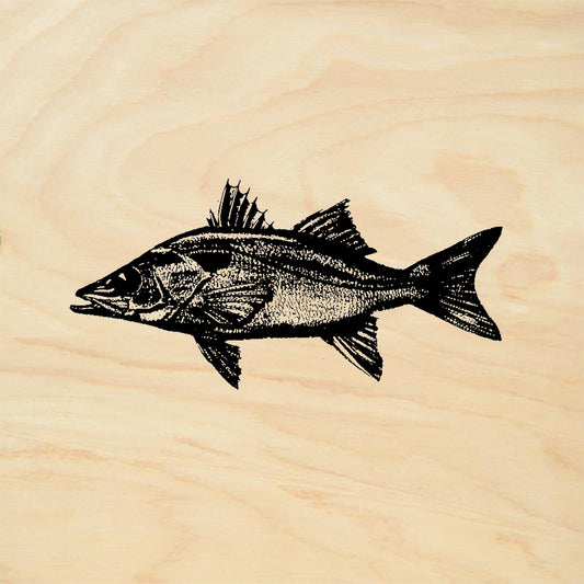 StampaFe Deep Sea Fish Nature Rubber Art Stamp