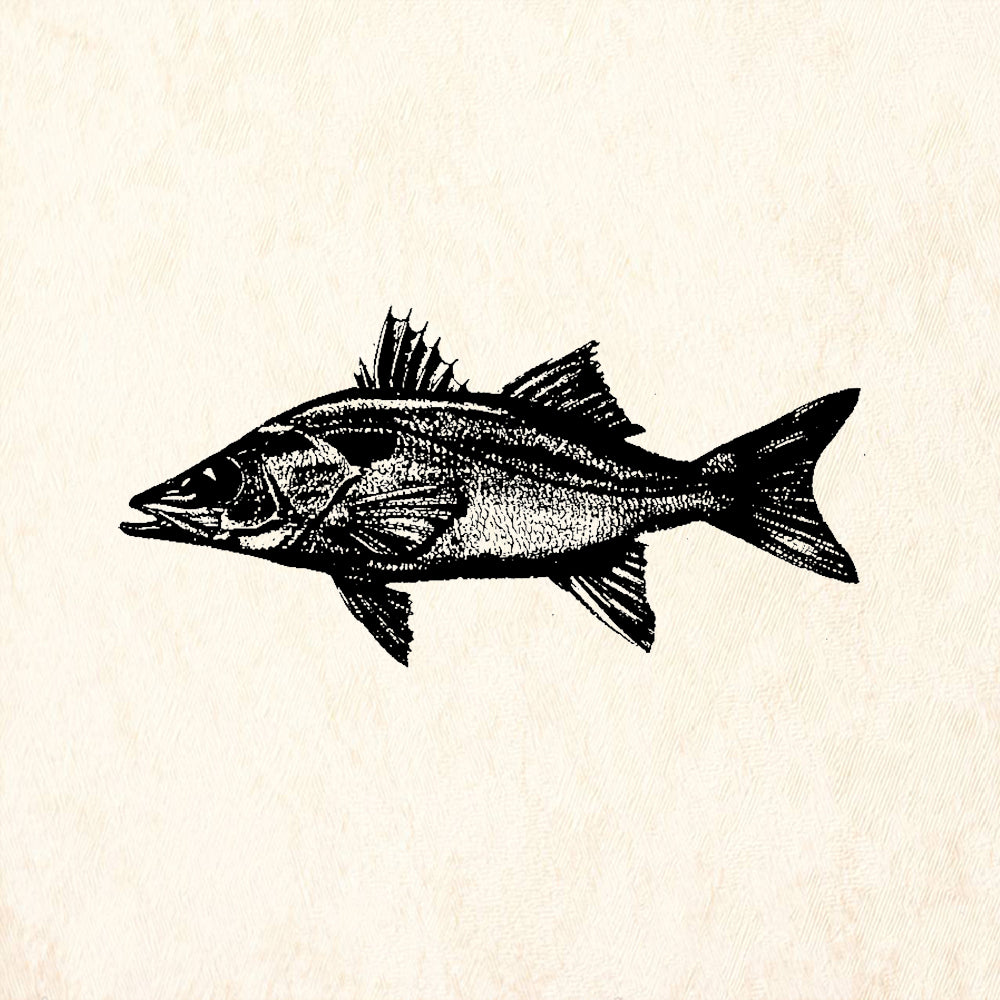 StampaFe Deep Sea Fish Nature Rubber Art Stamp